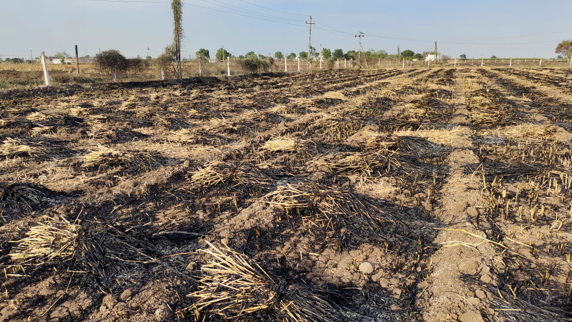 ટંકારા તાલુકાના હડમતિયા ગામેં દોઢ વિઘાની કડબ સળગીને રાખ