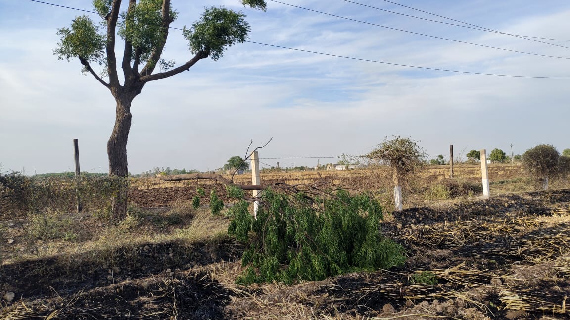 ટંકારા તાલુકાના હડમતિયા ગામેં દોઢ વિઘાની કડબ સળગીને રાખ