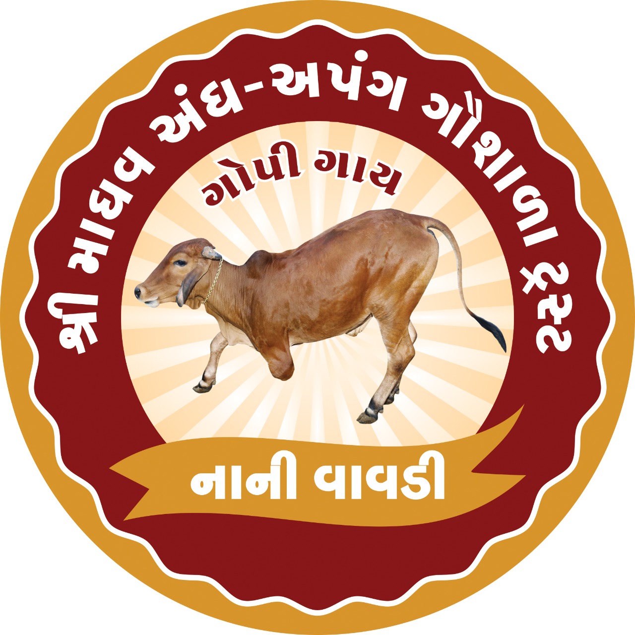 નાની વાવડી ગામે આજે ક્રિકેટ ટુર્નામેન્ટની ફાયનલ મેચ રમાશે