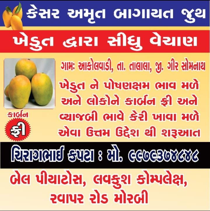 આકોલવાડી ગીરની કાર્બન ફ્રી ઓર્ગેનિક કેસર અમૃત કેરી મોરબીમાં..

ખેડૂતો દ્વારા સીધું વેચાણ..વધુ માહિતી માટે કોલ કરો..97731 79380