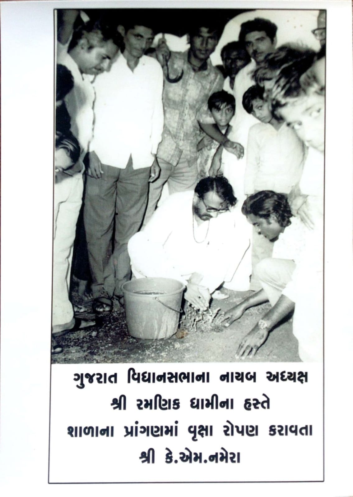 ટંકારા નિવૃત્ત શિક્ષકે 45 વર્ષમાં 10,000 થી વધુ રોપ વટ વૃક્ષ બનાવવામાં જિંદગીનું રોકાણ કર્યું