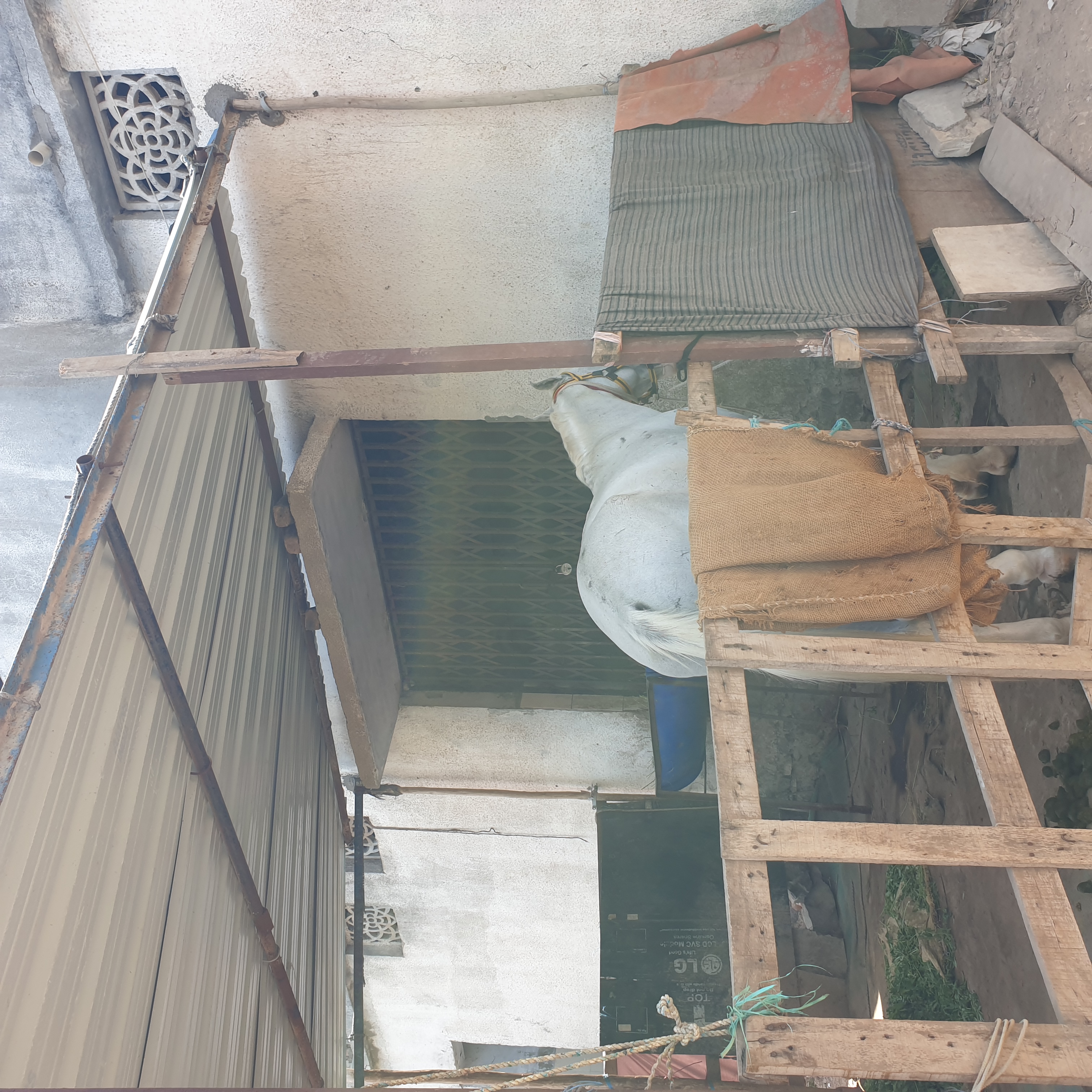સીરામીક નગરી મેટ્રો સીટી તરફ ગતિ કરતું હોય ત્યારે સારા શોચાલય ન હોવા તંત્ર માટે શરમજનક બાબત
