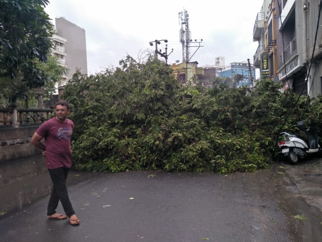 મોરબી જિલ્લામાં તમામ માર્ગો ઉપર વૃક્ષો હટાવી ખુલ્લા કરાયા