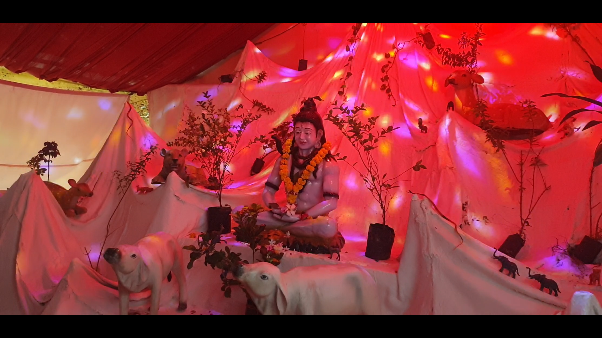 શ્રાવણમાસના પ્રથમ સોમવારે જ વૈભવી વિસ્તાર કરતા પણ શ્રમજીવી વિસ્તારમાં ચડિયાતી શિવ પૂજા