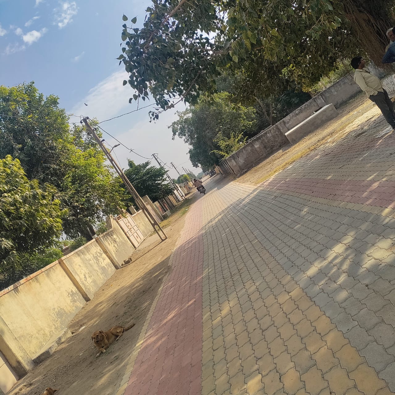 1800ની વસ્તી ધરાવતા ગામમાં હજુ પણ 40 ટકા જ શિક્ષિત

મોરબીના  ફડસર ગામે તમામ સુવિધાઓને કારણે ગ્રામજનોને કાયમ લીલાલહેર