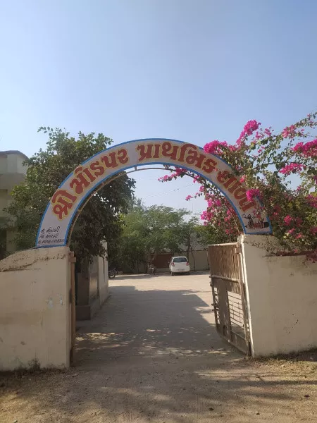 મોરબીના મોડપર ગામે પુનવર્સનના 14 મકાનોની સનદ હજુ અધરતાલ

ગામનું પ્રાથમિક આરોગ્ય કેન્દ્ર ખખડી ગયેલું હોવાથી નવું બનાવવું ખૂબ જ જરૂરી