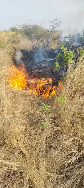 ફાયર બ્રિગેડ ટીમ સતત ત્રણ આગના બનાવોથી દોડતી રહી