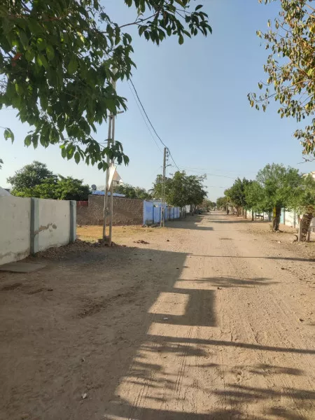 માળીયાના ભાવપરમા જળ કટોકટી ઉપરથી વરસાદ આધારિત ખેતીથી દાઝ્યા પર ડામ