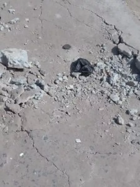 આ તો ખોટું કહેવાય...મોરબીમાં દોઢ વર્ષ પહેલા બનેલા રોડમાં મસમોટા ખાડા સાથે રોડ આખો બેસી ગયો