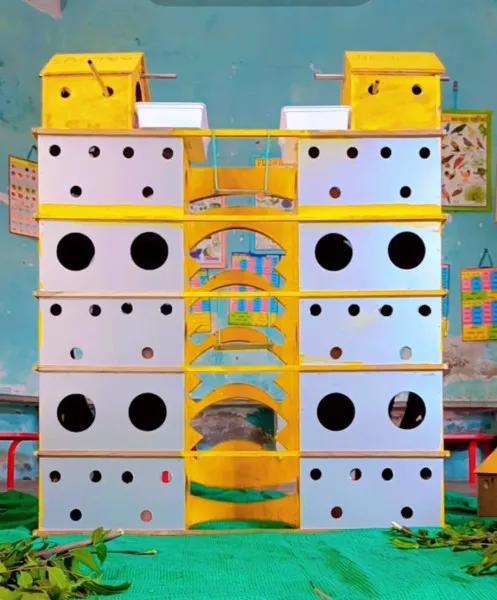 ટંકારા ના ભૂત કોટડા પ્રા . શાળામાં તૈયાર થયું સ્પેરો હાઈટ્સ 