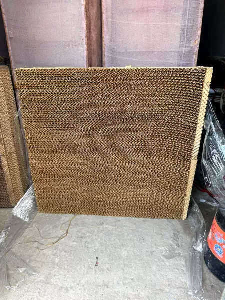 હવે કાળઝાળ ગરમીના રાહત રૂપે મોરબીમાં ઠંડા ઠંડા કુલની અનુભૂતિ