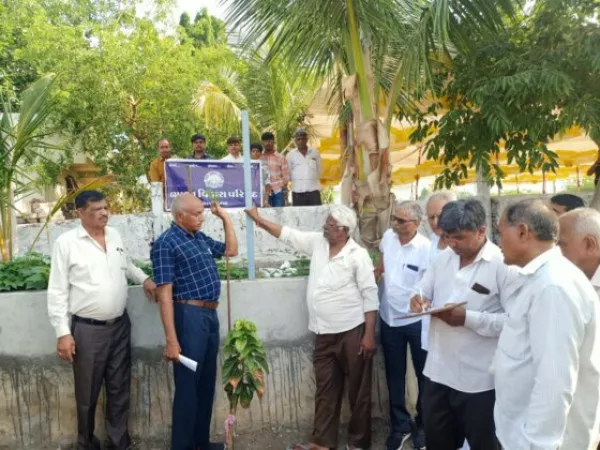 મોરબીના નાની વાવડીના રામાપીર મંદિરે વૃક્ષ દેવ પરિચય કાર્યશાળા યોજાઈ
