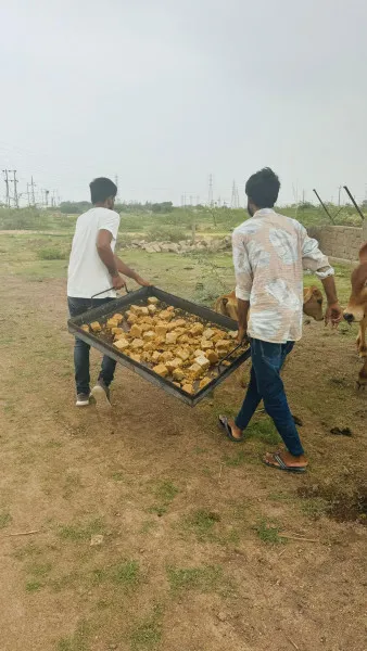ગૌશાળા માટે કોઈની પાસે હાથ લાંબો કરવો પડતો નથી
