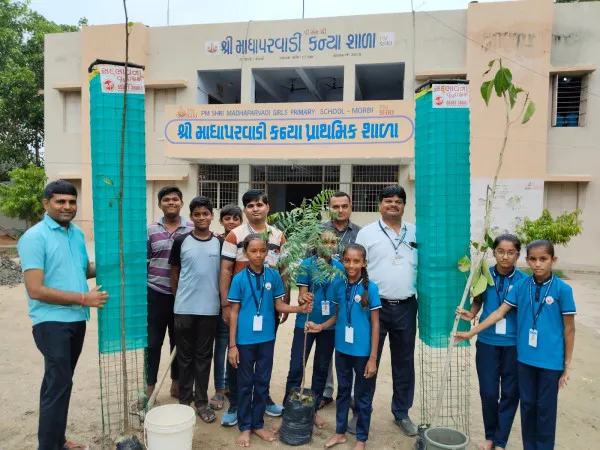 મોરબીની શાળાઓમાં સદ્દભાવના વૃદ્ધાશ્રમના સહયોગથી શિક્ષકો દ્વારા વૃક્ષારોપણ કરાયું
