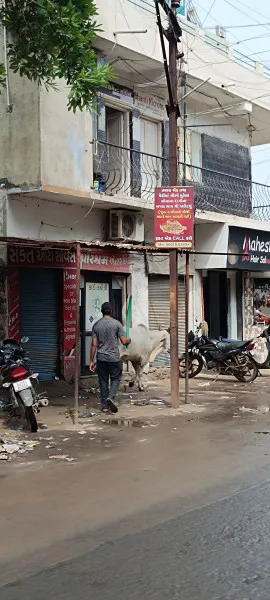 RB NEWS ના વિડીયો ન્યુઝના અહેવાલનો પડઘો : મોરબીમાં અંતે રસ્તે રઝળતા ઢોરોને દૂર કરવા ખાસ ડ્રેસ કોર્ડવાળો સ્ટાફ તૈનાત કરાયો