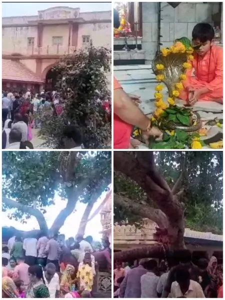 મોરબીના રફાળેશ્વર મંદિરે મોટી સંખ્યામાં શ્રદ્ધાળુઓએ પિતૃતર્પણ કર્યું
