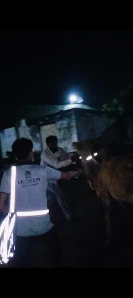 હળવદના રાતાભેર ગામનો જીવદયા પ્રેમ
