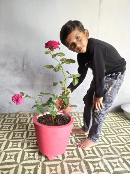 મોરબીની રાજપર શાળા દ્વારા બાળકોમાં વૃક્ષ ઉછેરની જાગૃતિ આવે તે માટેની આનોખી પહેલ