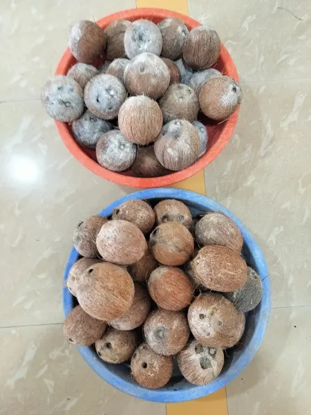 મોરબીના ભોજાણી પરિવારના પુત્રના જન્મદિવસની અનોખી ઉજવણી 

