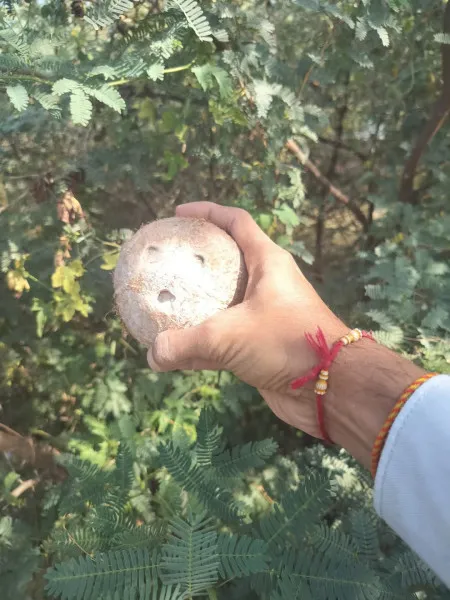મોરબીના ભોજાણી પરિવારના પુત્રના જન્મદિવસની અનોખી ઉજવણી 
