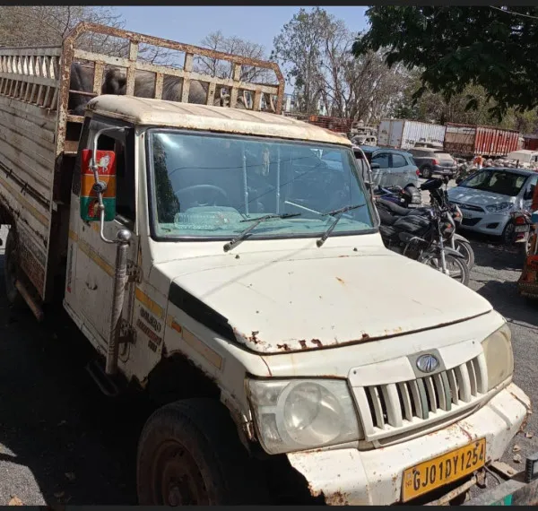મોરબી નજીક બોલેરોમાં ક્રૂરતાપૂર્વક લઈ જવાતા 4 પશુઓને બચાવાયા