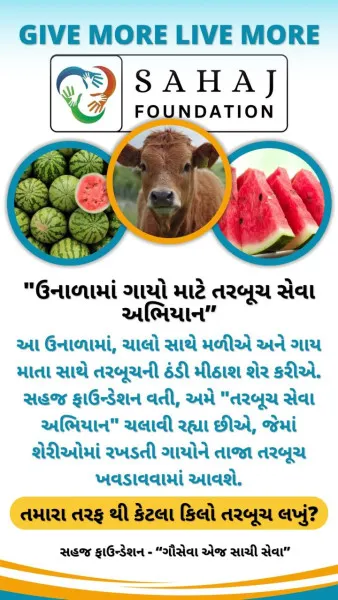 સહજ ફાઉન્ડેશને કાળઝાળ ગરમીમાં ગાયોને ઠંડકરૂપ 4500 કિલો તરબૂચ ખવડાવ્યા