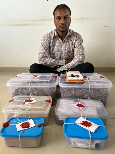 મોરબીમાં નશીલા પોશડોડાના જથ્થા સાથે એક ઝડપાયો
