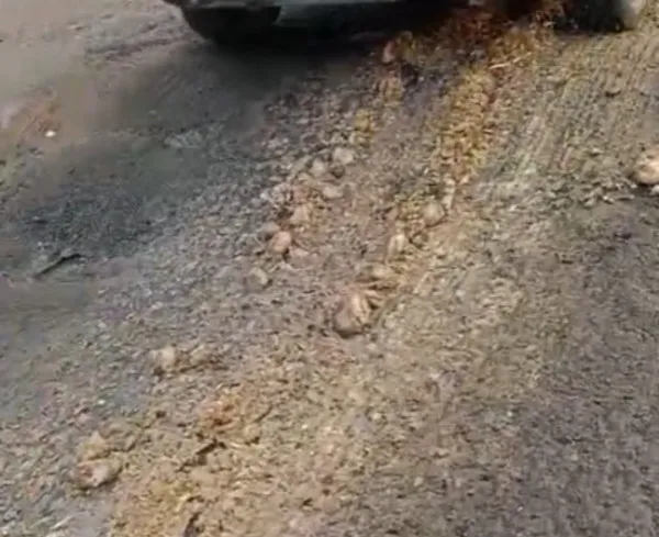 મોરબીના શનાળા નજીક હાઇવે ઉપર બટેટા ઢોળાયા