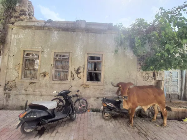 મોરબીની વિશ્વકર્મા મંદિર શેરીની જોખમી મકાન તોડી પાડવા કમિશનરને રજુઆત
