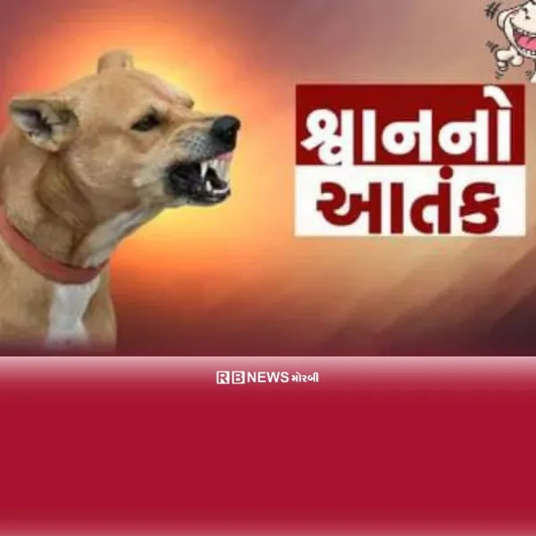 મોરબીના જોધપર નદી ગામે કૂતરાએ બાળકીને બચકા ભરી લીધા