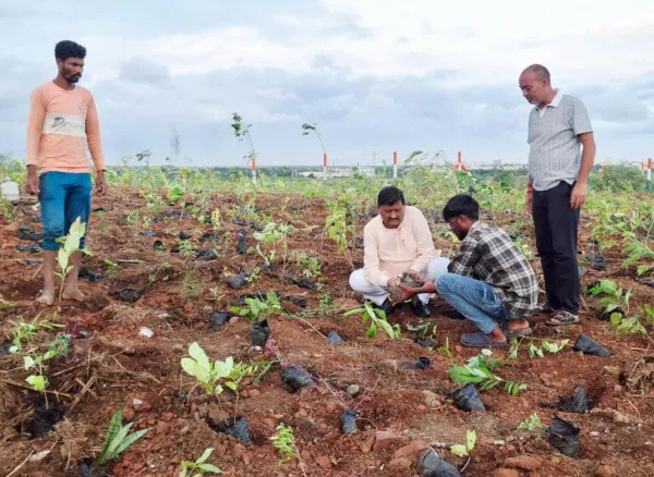મોરબીના મચ્છુ-2 ડેમ પાસે આકાર લઈ રહ્યું છે 