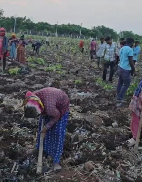 મોરબીના મચ્છુ-2 ડેમ પાસે આકાર લઈ રહ્યું છે 