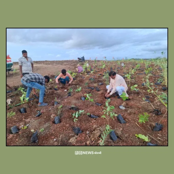 મોરબીના મચ્છુ-2 ડેમ પાસે આકાર લઈ રહ્યું છે 
