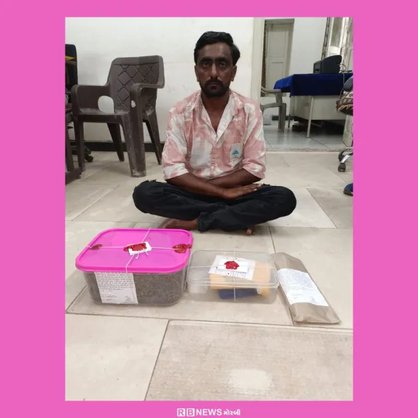 SOGનો સપાટો : મોરબીમાં 1.3 કિલો ગાંજાના જથ્થા સાથે એક ઝબ્બે