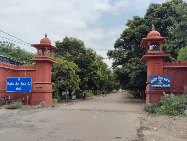 મોરબીના જાજરમાન નજરાણા સમાન લાલબાગમાં આજે પણ દુર્લભ વનસ્પતિઓનો ખજાનો
