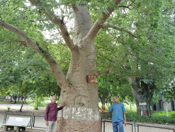 મોરબીના જાજરમાન નજરાણા સમાન લાલબાગમાં આજે પણ દુર્લભ વનસ્પતિઓનો ખજાનો
