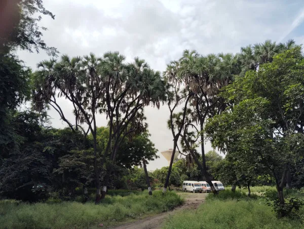 મોરબીના જાજરમાન નજરાણા સમાન લાલબાગમાં આજે પણ દુર્લભ વનસ્પતિઓનો ખજાનો
