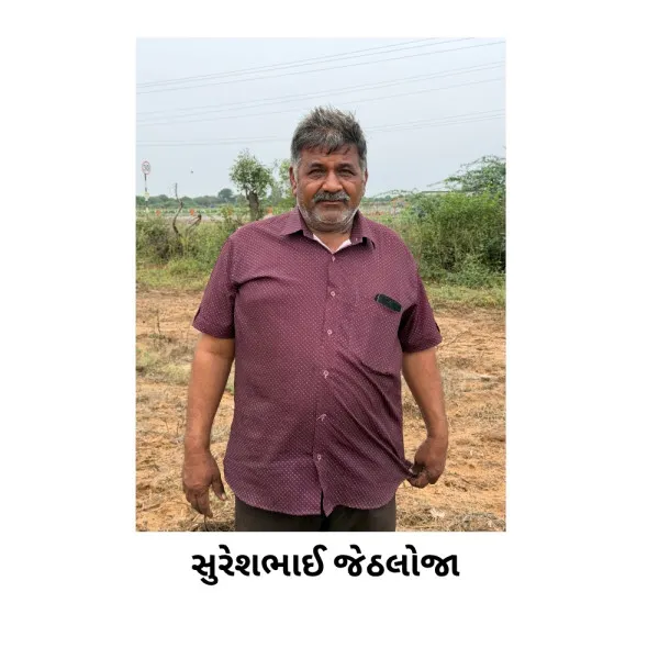 મોરબી જિલ્લાના શિવપુર ગામે માવઠાથી 70% ટકા મગફળીના પાકનો નાશ