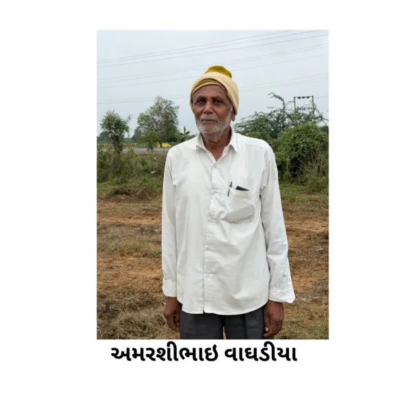 મોરબી જિલ્લાના શિવપુર ગામે માવઠાથી 70% ટકા મગફળીના પાકનો નાશ