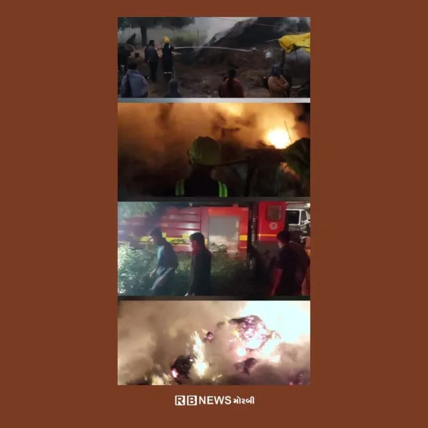 ટંકારાના જબલપુર ગામે મગફળીના ભૂકામાં ભીષણ આગ