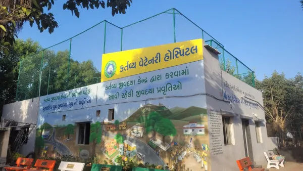 મોરબીમાં યુવાનોનું 7 વર્ષમાં 80 હજાર પશુ પંખીઓની સારવાર કરવાનું 