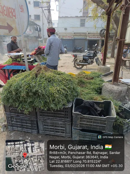 મોરબીમાં માર્ગો ઉપર ટ્રાફિકને નડતરરૂપ સામાન્ય ધંધાર્થીઓના દબાણો હટાવ્યા
