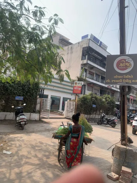 મોરબીમાં માર્ગો ઉપર ટ્રાફિકને નડતરરૂપ સામાન્ય ધંધાર્થીઓના દબાણો હટાવ્યા
