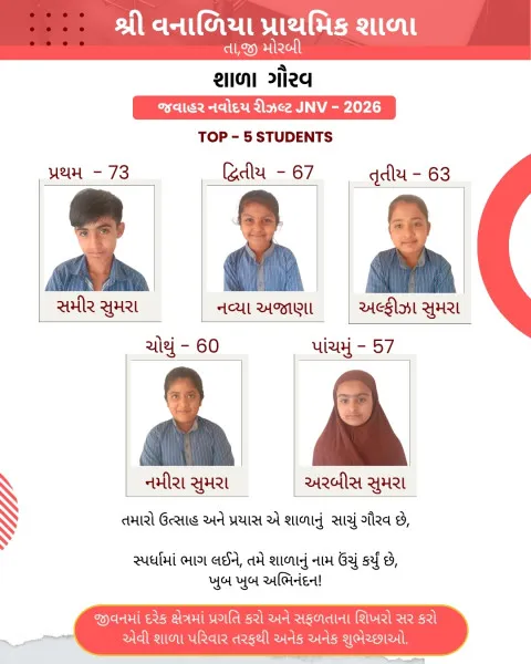 મોરબીની શ્રી વનાળિયા પ્રાથમિક શાળાનું ગૌરવ.