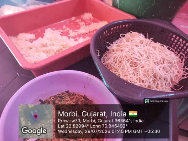 મોરબીમાં ફૂડ શાખાની તવાઈ: ફૂગવાળા પીઝા, વાસી નૂડલ્સ-મંચુરિયન સહિત 28 કિલો અખાદ્ય ખોરાકનો નાશ
