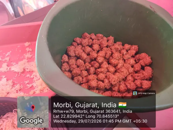 મોરબીમાં ફૂડ શાખાની તવાઈ: ફૂગવાળા પીઝા, વાસી નૂડલ્સ-મંચુરિયન સહિત 28 કિલો અખાદ્ય ખોરાકનો નાશ
