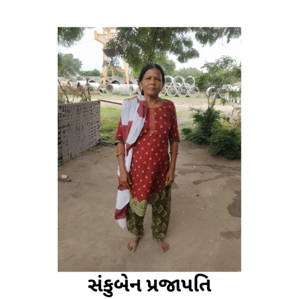 RB ન્યુઝ સ્પેશિયલ : ખાંડ 