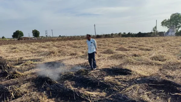 ટંકારા તાલુકાના હડમતિયા ગામેં દોઢ વિઘાની કડબ સળગીને રાખ