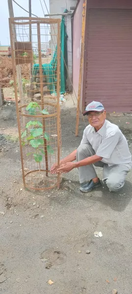 મોરબી પુણ્યતિથી નિમિતે વૃક્ષારોપણ કરી સાર્થક શ્રદ્ધાંજલિ