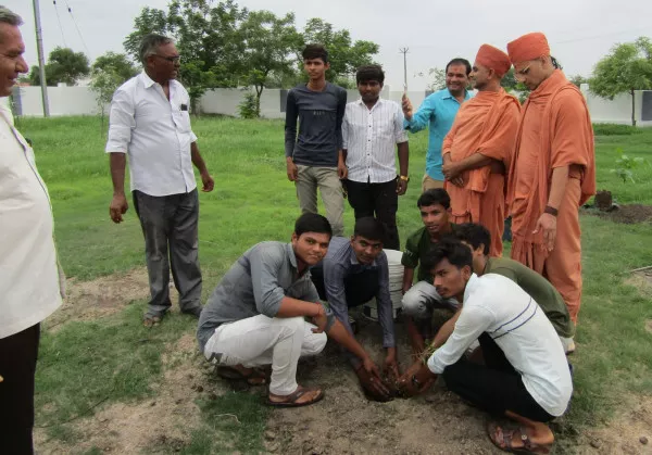 ખાખરેચી ગામને લીલુછમ ઉપવન બનાવવા રોપાનું વિતરણ કરાયું